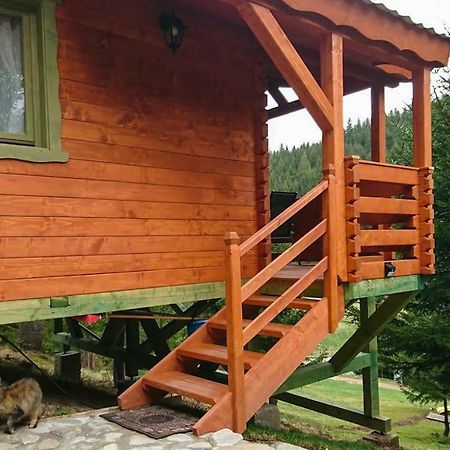 Cabana Casa Craita Zărneşti 외부 사진