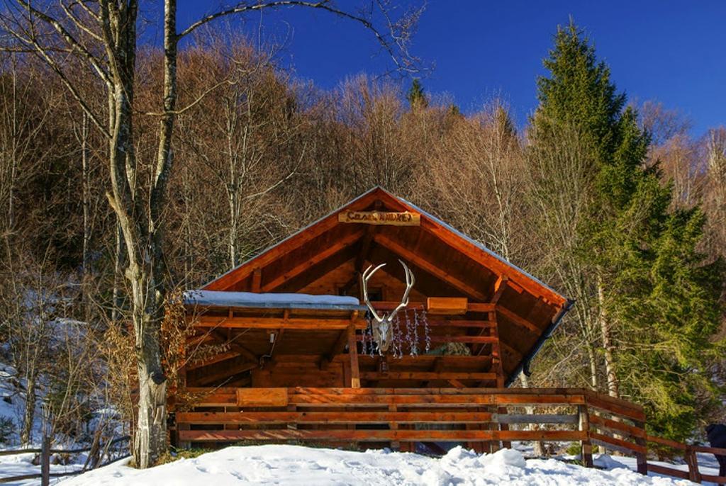 Cabana Casa Craita Zărneşti 객실 사진