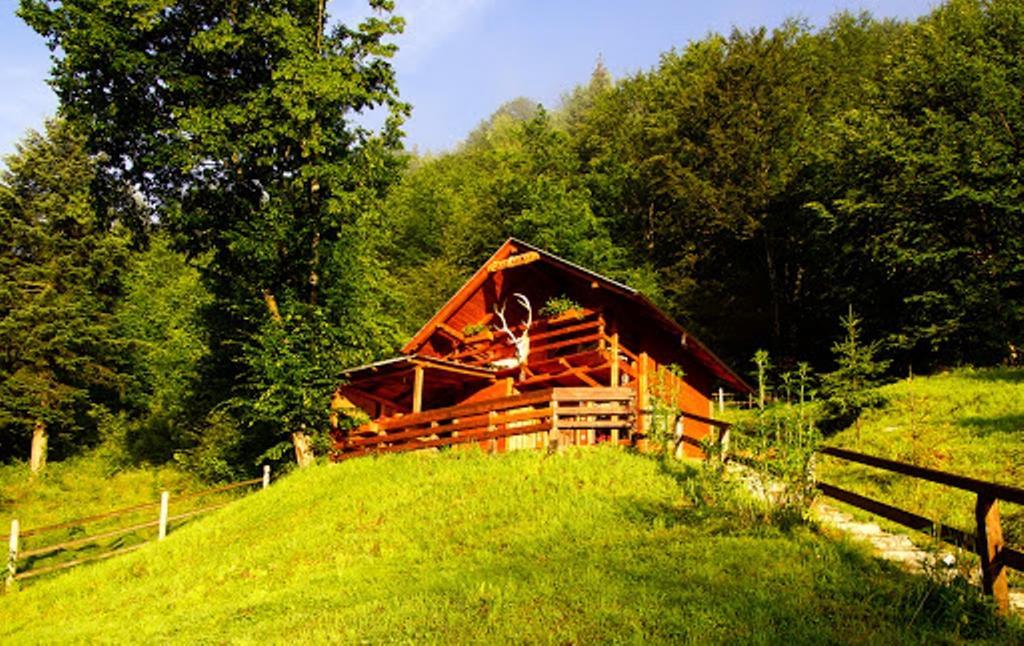 Cabana Casa Craita Zărneşti 객실 사진