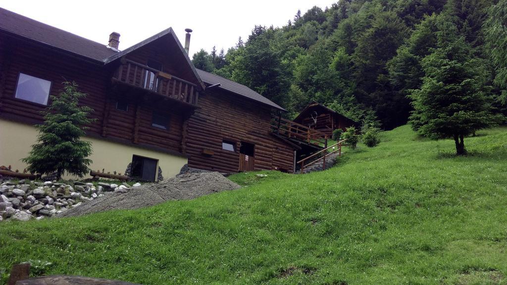 Cabana Casa Craita Zărneşti 외부 사진