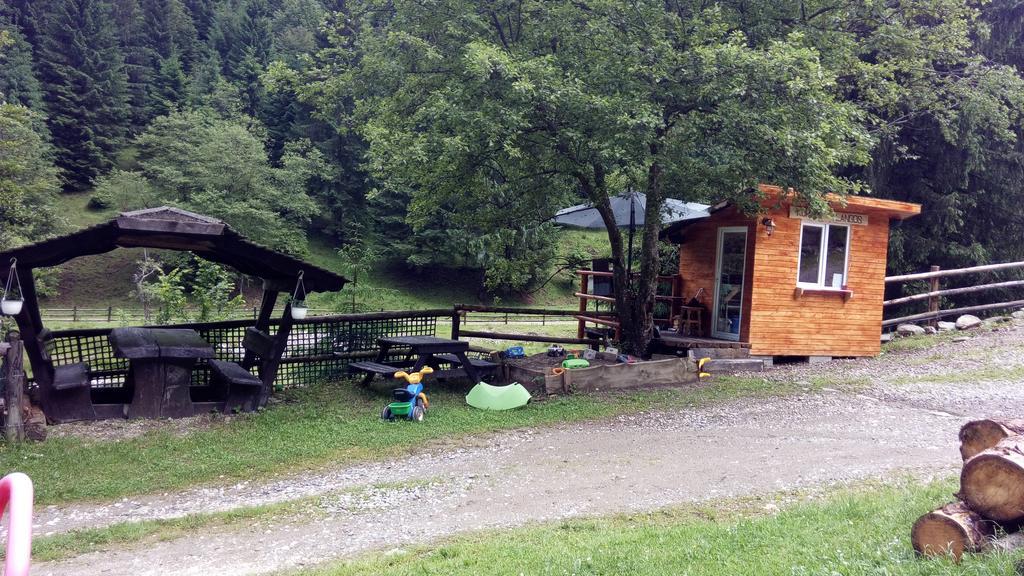 Cabana Casa Craita Zărneşti 외부 사진