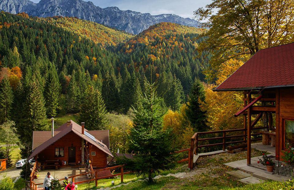 Cabana Casa Craita Zărneşti 외부 사진