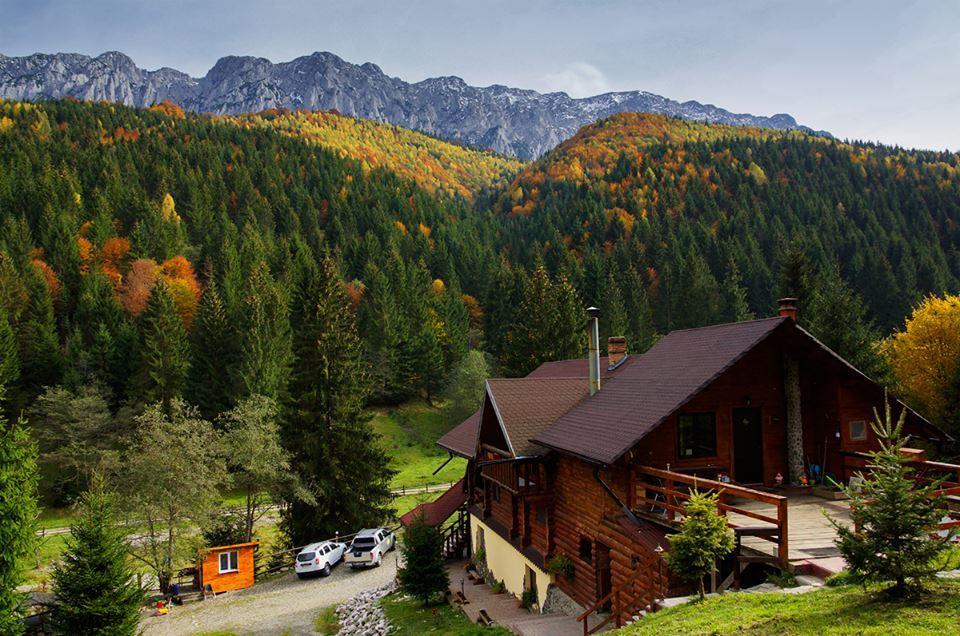 Cabana Casa Craita Zărneşti 외부 사진