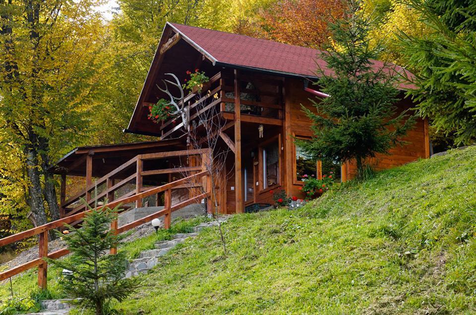 Cabana Casa Craita Zărneşti 외부 사진