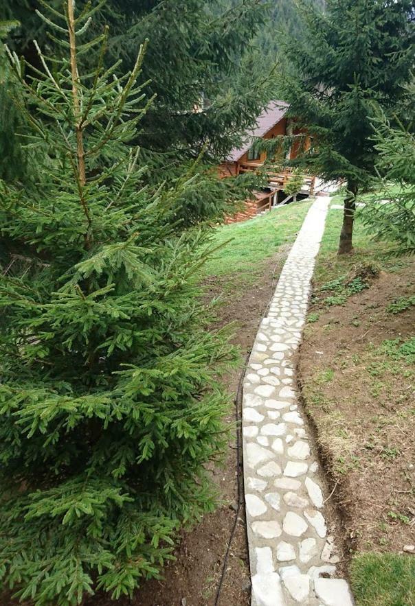 Cabana Casa Craita Zărneşti 외부 사진
